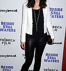 Beside_Still_Waters_NY_Premiere_002.jpg